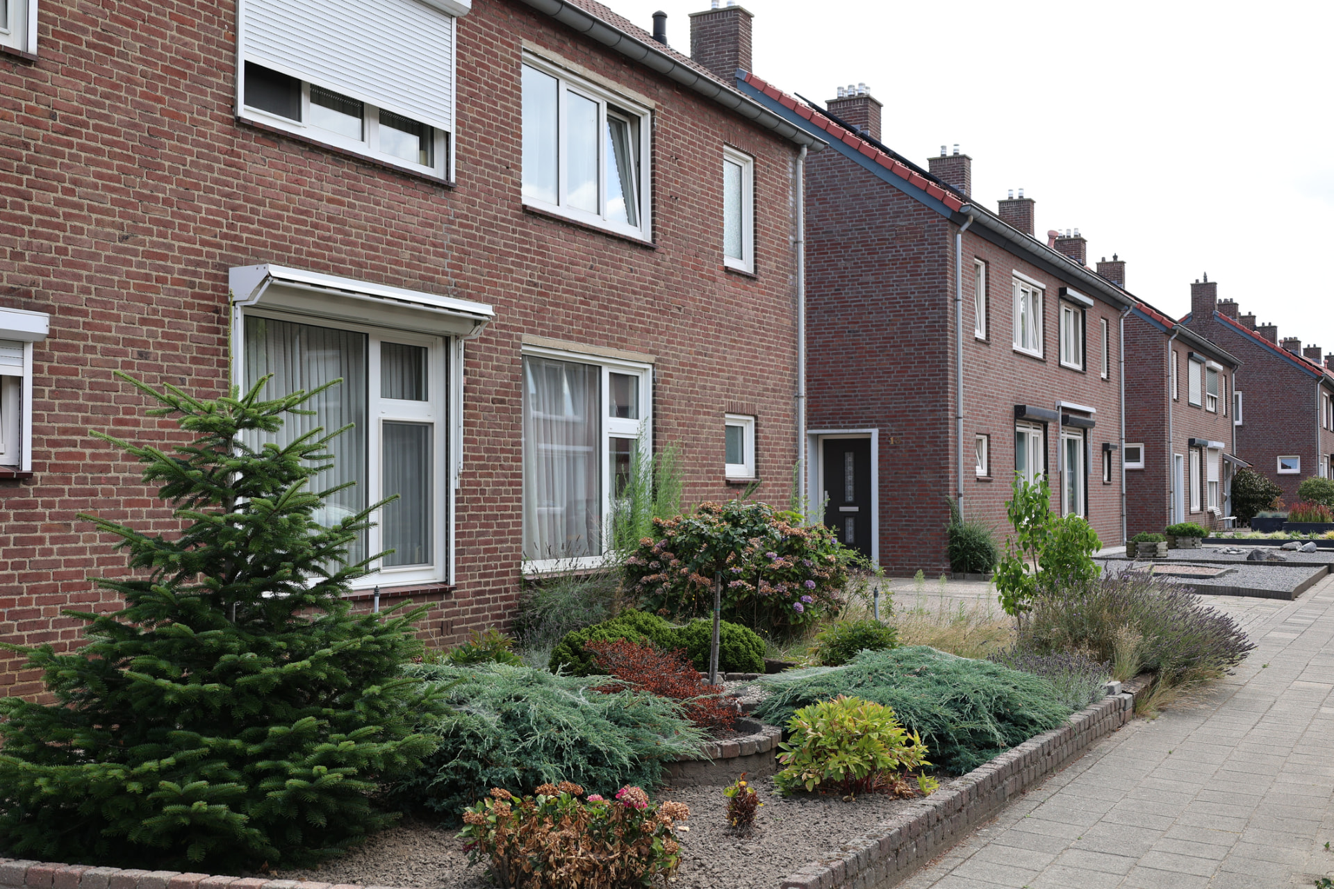 Opkopers onder de loep: hoe De Huisopkopers het anders doet